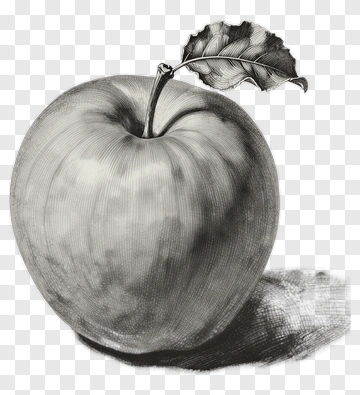 Black And White Apple With Leaf PNG