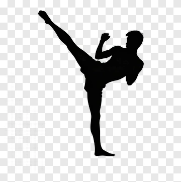 Silhouette Of A Man Kicking PNG