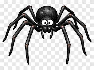 Cartoon Spider PNG