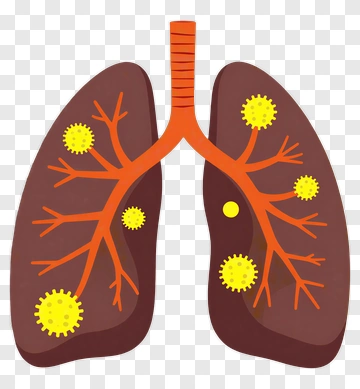 Illustration Of Human Lungs With Viruses PNG