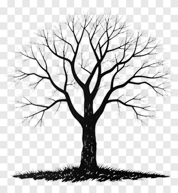 Silhouette Tree PNG