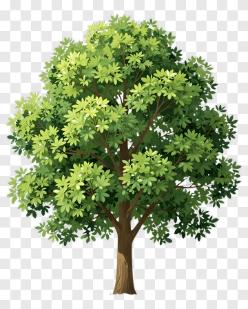Green Tree PNG