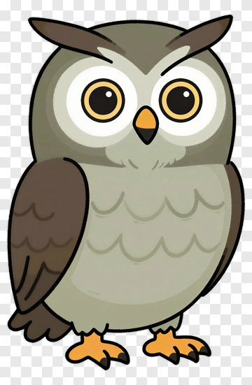 Cartoon Owl PNG