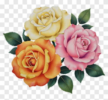 Colorful Rose Bouquet PNG