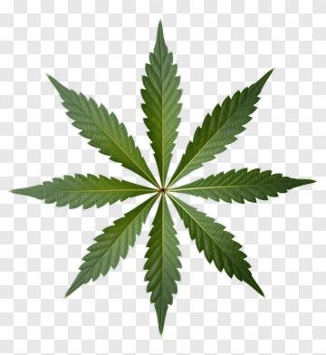 Green Cannabis Leaf PNG