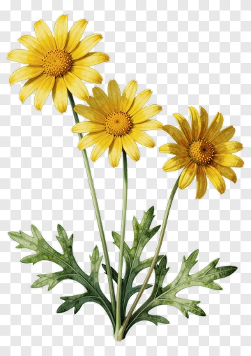 Yellow Flower Bouquet PNG