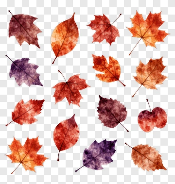Colorful Autumn Leaves Collection PNG