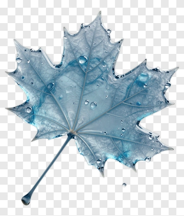 Transparent Blue Leaf With Water Droplets PNG