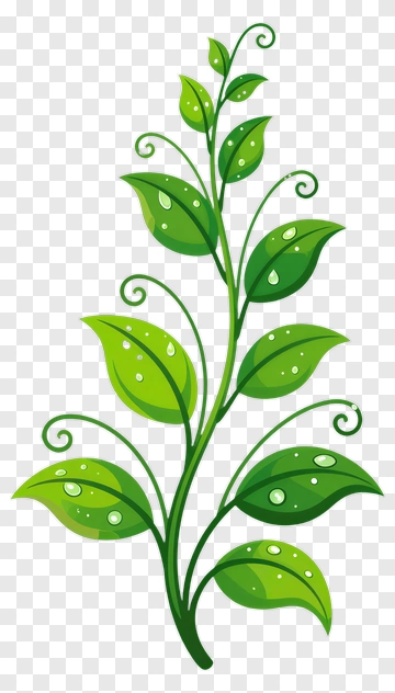 Green Leafy Plant With Water Drops PNG