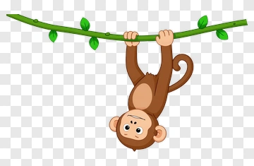 Cartoon Monkey Hanging From A Branch PNG