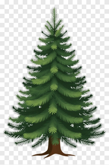 Green Pine Tree PNG