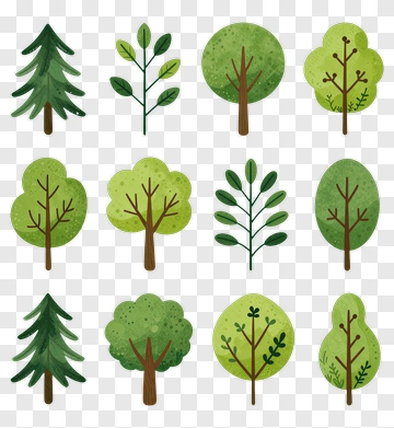 Collection Of Various Trees And Leaves PNG