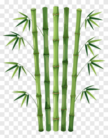 Bamboo Stalks With Leaves PNG