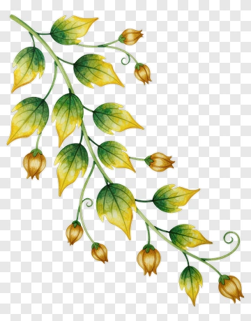 Watercolor Leafy Vine With Yellow Flowers PNG