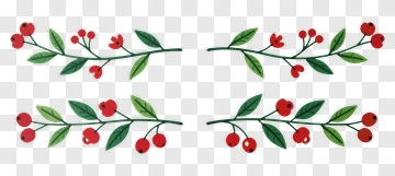 Red Berry Branches With Green Leaves PNG