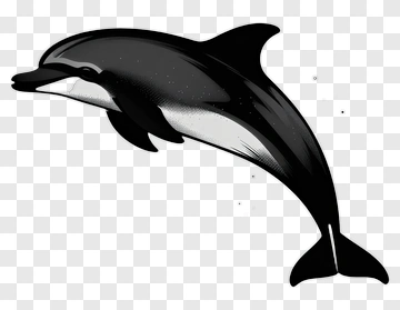 Cartoon Dolphin PNG