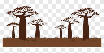 Silhouette Baobab Trees In A Landscape PNG