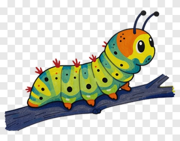 Cartoon Caterpillar On A Branch PNG