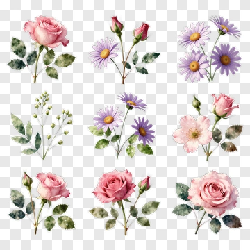 Watercolor Floral Arrangement With Roses And Daisies PNG