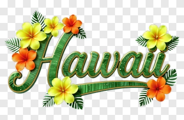 Hawaii Floral Design PNG