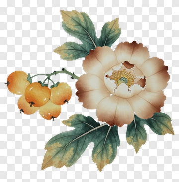 Peony Flower With Yellow Berries PNG