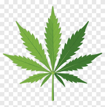 Green Cannabis Leaf PNG