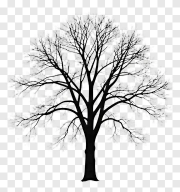 Black Tree Silhouette PNG