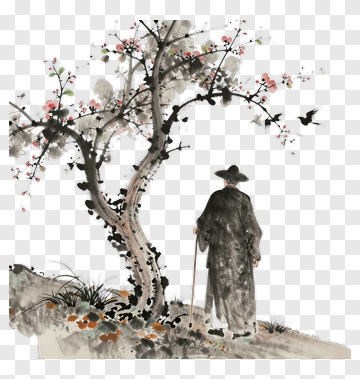 Elderly Man Standing Under A Cherry Blossom Tree PNG