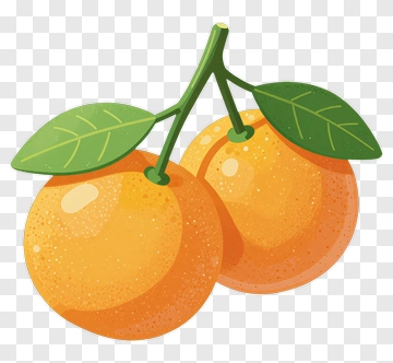Orange Fruit With Leaves PNG