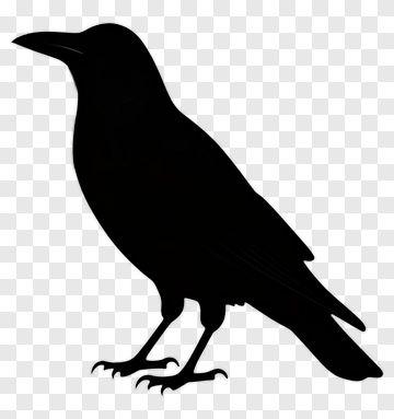 Silhouette Of A Crow PNG