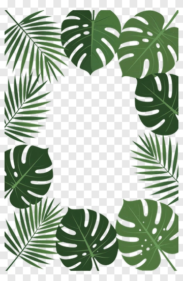 Tropical Leaf Frame PNG