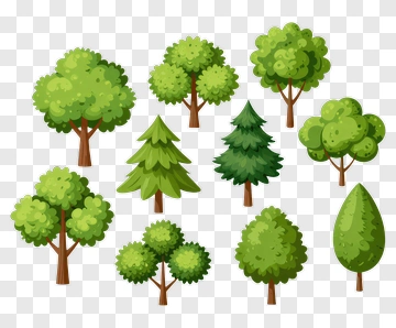 Collection Of Various Trees PNG