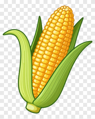 Corn On The Cob PNG