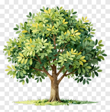 Watercolor Tree With Green Leaves PNG