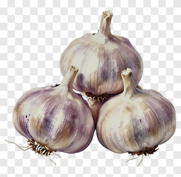 Three Garlic Bulbs PNG