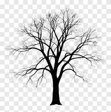 Black Silhouette Tree PNG