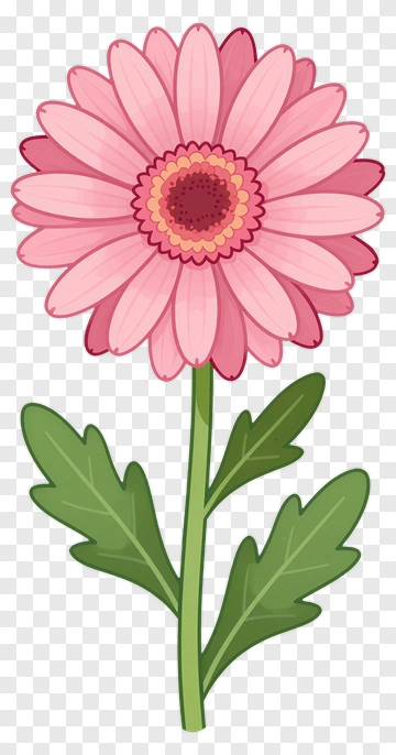Pink Flower With Green Leaves PNG