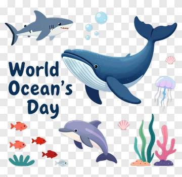 Cartoon Ocean Animals For World Ocean's Day PNG
