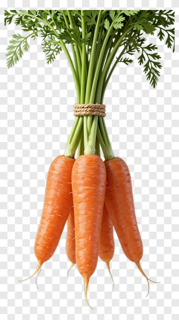Bunch Of Fresh Carrots PNG