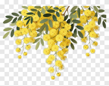 Yellow Flowering Branch With Green Leaves PNG
