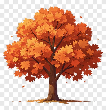 Colorful Tree With Autumn Leaves PNG