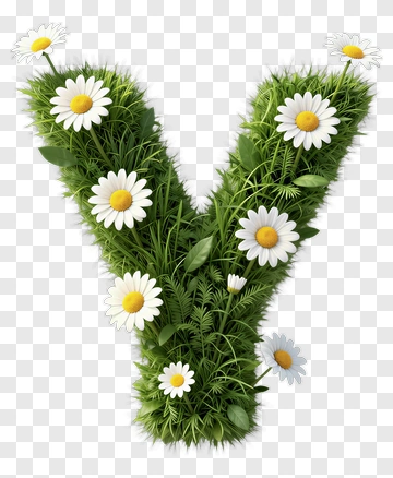 Floral Letter Y Made Of Grass And Daisies PNG