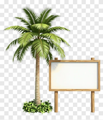Palm Tree With Blank Sign PNG