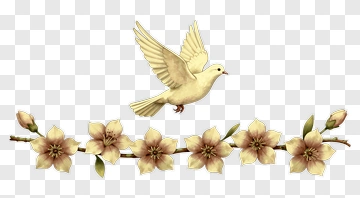 Bird Flying Over Floral Branch PNG