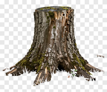Tree Stump With Moss And Grass PNG