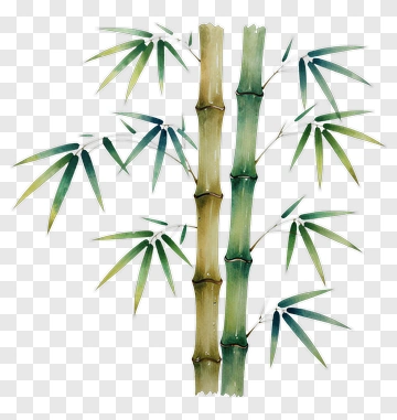 Bamboo Stalks With Green Leaves PNG