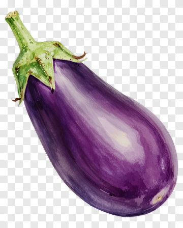 Watercolor Eggplant PNG