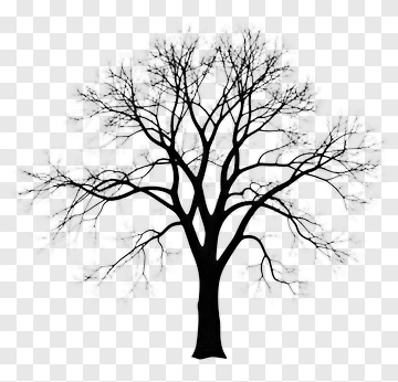 Silhouette Tree PNG