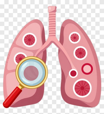 Illustration Of Lungs With Magnifying Glass PNG