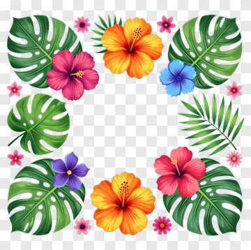 Colorful Floral Frame With Hibiscus And Monstera Leaves PNG